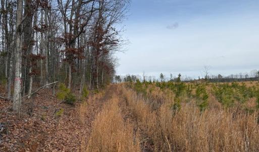 Photo #39 of  35.0 acres