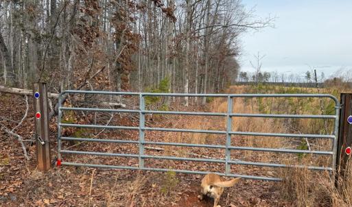 Photo #41 of  35.0 acres