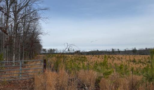 Photo #44 of  35.0 acres