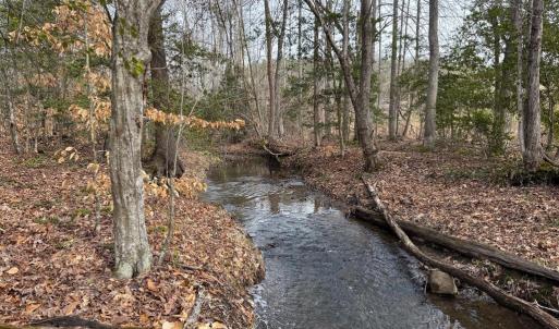 Photo #2 of  35.0 acres