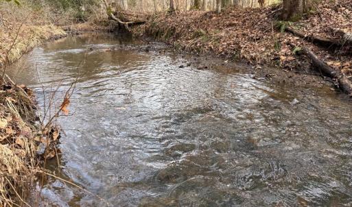 Photo #4 of  35.0 acres