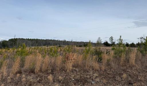 Photo #8 of  35.0 acres