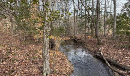 Photo #9 of  35.0 acres