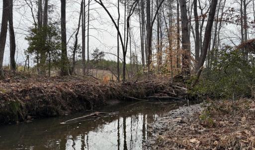 Photo #12 of  35.0 acres