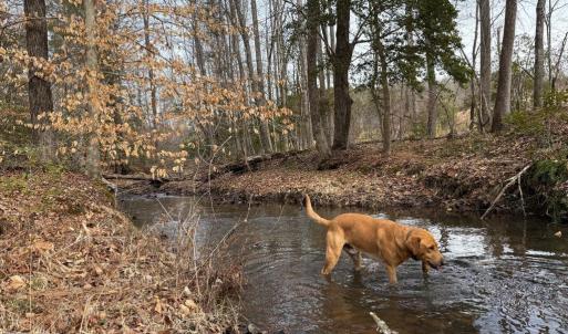 Photo #14 of  35.0 acres