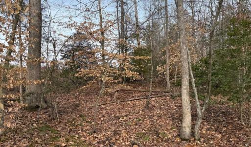 Photo #17 of  35.0 acres