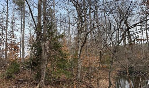 Photo #21 of  35.0 acres