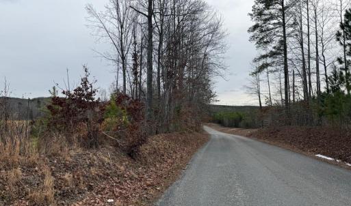 Photo #43 of  35.0 acres