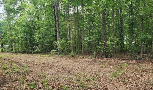 Photo #10 of ORCHID LAKE DR, GUM SPRING, VA 0.3 acres