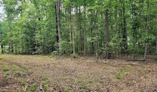 Photo #10 of ORCHID LAKE DR, GUM SPRING, VA 0.3 acres