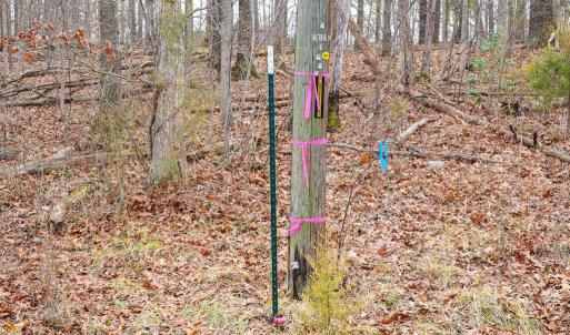 Photo #29 of RIVERBEND DR, LURAY, VA 0.8 acres