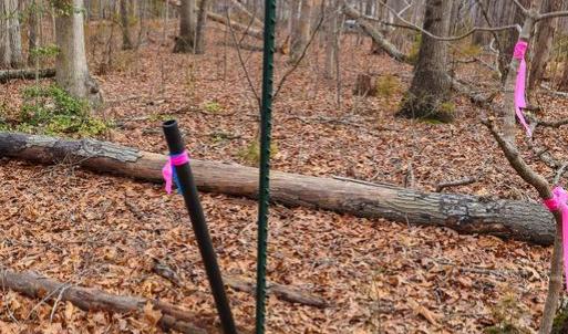 Photo #30 of RIVERBEND DR, LURAY, VA 0.8 acres