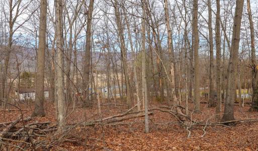 Photo #31 of RIVERBEND DR, LURAY, VA 0.8 acres