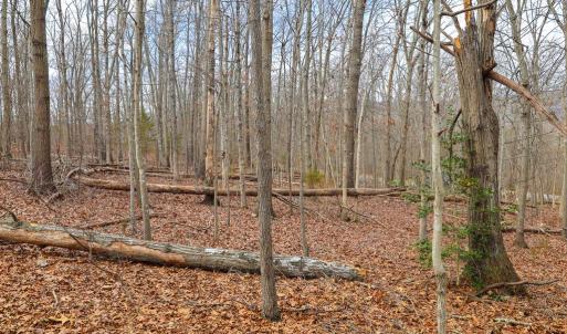 Photo #32 of RIVERBEND DR, LURAY, VA 0.8 acres