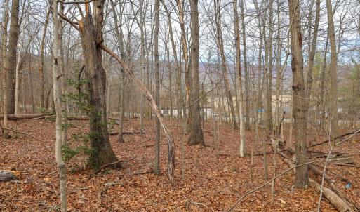 Photo #33 of RIVERBEND DR, LURAY, VA 0.8 acres