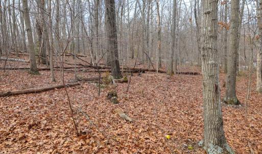Photo #34 of RIVERBEND DR, LURAY, VA 0.8 acres