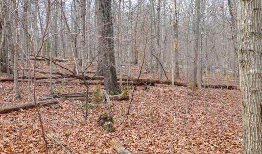 Photo #35 of RIVERBEND DR, LURAY, VA 0.8 acres