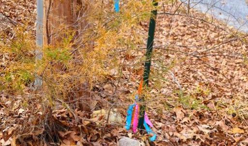 Photo #28 of RIVERBEND DR, LURAY, VA 0.8 acres