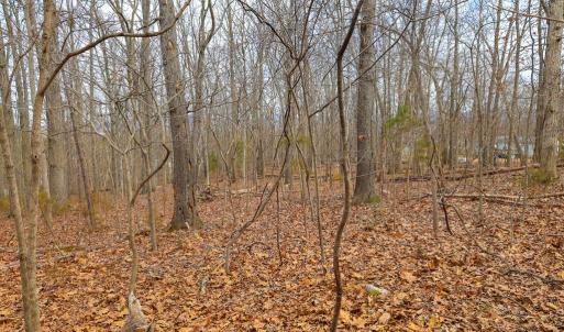 Photo #30 of RIVERBEND DR, LURAY, VA 0.8 acres