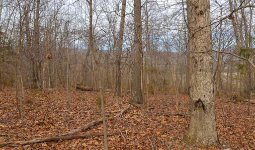 Photo #31 of RIVERBEND DR, LURAY, VA 0.8 acres