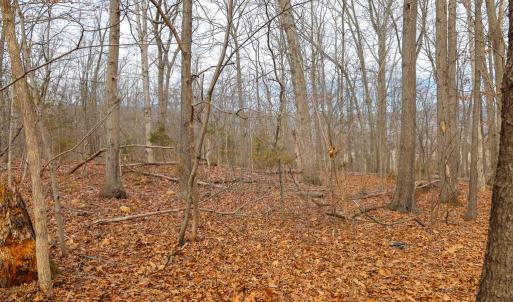 Photo #32 of RIVERBEND DR, LURAY, VA 0.8 acres