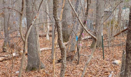 Photo #33 of RIVERBEND DR, LURAY, VA 0.8 acres