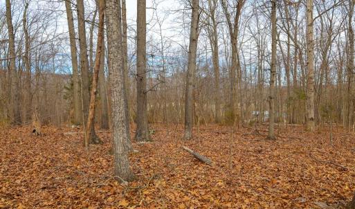 Photo #35 of RIVERBEND DR, LURAY, VA 0.8 acres