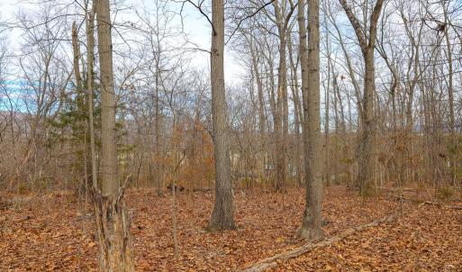 Photo #36 of RIVERBEND DR, LURAY, VA 0.8 acres