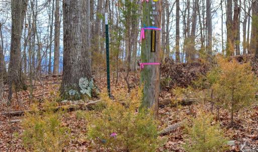 Photo #38 of RIVERBEND DR, LURAY, VA 0.8 acres