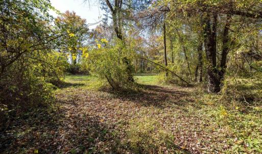 Photo #42 of DRY RUN RD, LURAY, VA 10.4 acres