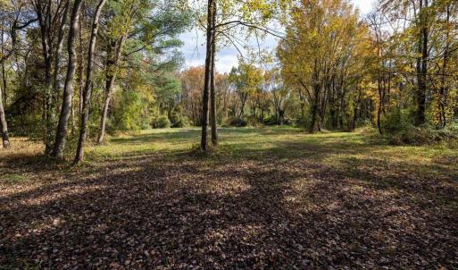 Photo #49 of DRY RUN RD, LURAY, VA 10.4 acres