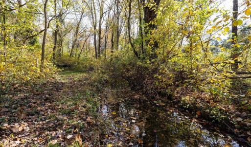 Photo #55 of DRY RUN RD, LURAY, VA 10.4 acres