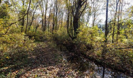 Photo #56 of DRY RUN RD, LURAY, VA 10.4 acres