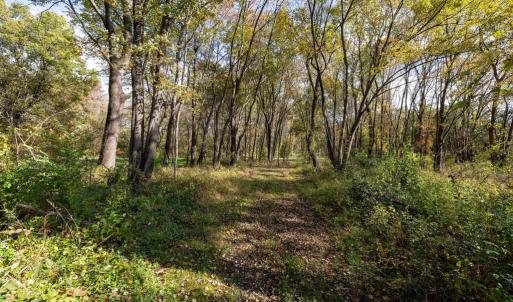 Photo #66 of DRY RUN RD, LURAY, VA 10.4 acres