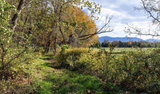 Photo #69 of DRY RUN RD, LURAY, VA 10.4 acres
