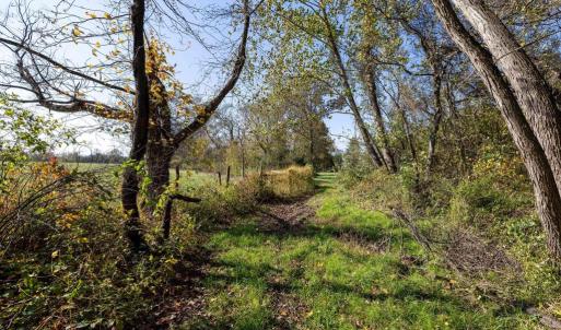 Photo #67 of DRY RUN RD, LURAY, VA 10.4 acres