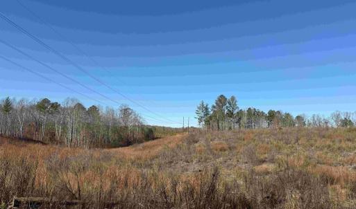 Photo #7 of WINNSVILLE DRIVE (TRACT: TANAGER ET2 2021), BREMO BLUFF, VA 159.0 acres
