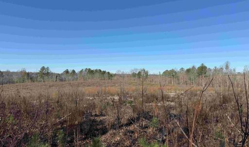 Photo #9 of WINNSVILLE DRIVE (TRACT: TANAGER ET2 2021), BREMO BLUFF, VA 159.0 acres