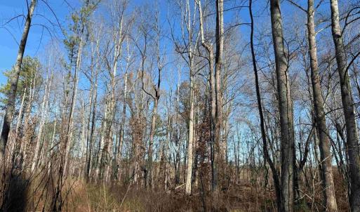 Photo #10 of WINNSVILLE DRIVE (TRACT: TANAGER ET2 2021), BREMO BLUFF, VA 159.0 acres