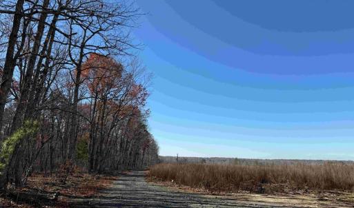 Photo #6 of WINNSVILLE DRIVE (TRACT: TANAGER ET2 2021), BREMO BLUFF, VA 159.0 acres