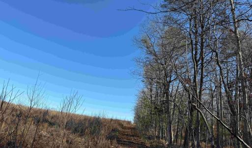 Photo #8 of WINNSVILLE DRIVE (TRACT: TANAGER ET2 2021), BREMO BLUFF, VA 159.0 acres