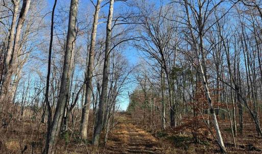 Photo #11 of WINNSVILLE DRIVE (TRACT: TANAGER ET2 2021), BREMO BLUFF, VA 159.0 acres