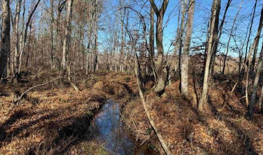 Photo #12 of WINNSVILLE DRIVE (TRACT: TANAGER ET2 2021), BREMO BLUFF, VA 159.0 acres