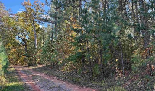 Photo #1 of OFF OF SHORES ROAD (TRACT: TANAGER ET2 2020), SCOTTSVILLE, VA 153.1 acres