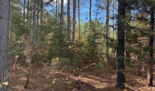 Photo #2 of OFF OF SHORES ROAD (TRACT: TANAGER ET2 2020), SCOTTSVILLE, VA 153.1 acres