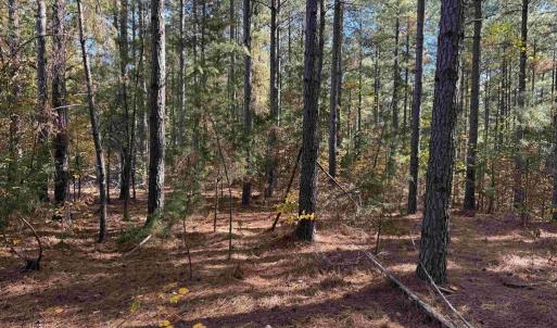 Photo #10 of OFF OF SHORES ROAD (TRACT: TANAGER ET2 2020), SCOTTSVILLE, VA 153.1 acres