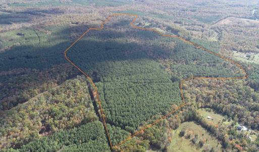 Photo #4 of OFF OF SHORES ROAD (TRACT: TANAGER ET2 2020), SCOTTSVILLE, VA 153.1 acres