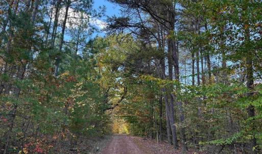 Photo #7 of OFF OF SHORES ROAD (TRACT: TANAGER ET2 2020), SCOTTSVILLE, VA 153.1 acres