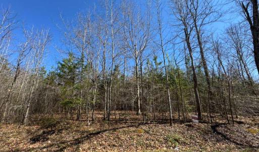 Photo #4 of 4325 GENTRY LN, BUMPASS, VA 3.5 acres
