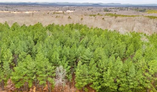 Photo #26 of DRAGOON LOT 2 RD, CULPEPER, VA 3.0 acres
